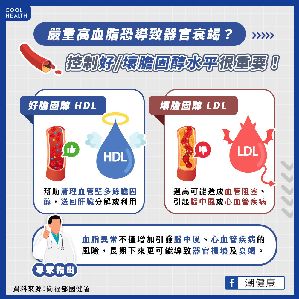 高血脂會引起器官衰竭？  HDL、LDL怎麼區分？
