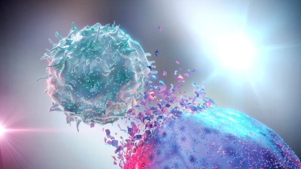 抗癌輔助新希望　iNKT細胞免疫療法