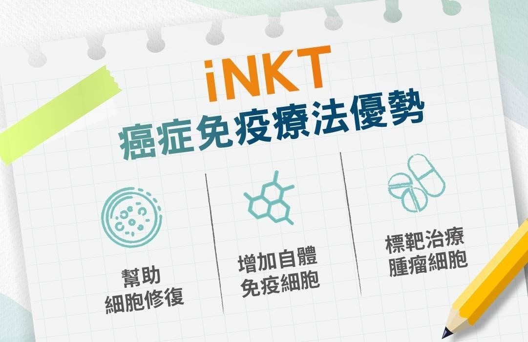 iNKT細胞兼具免疫調節和毒殺性(圖／長春藤生物科技提供)