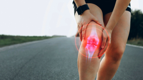 跑步運動傷關節是真的嗎？  哈佛博士曝真相：「完全不動」對膝蓋傷害才最大